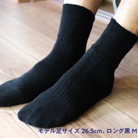 [Long] HONESTIES socks 720°
