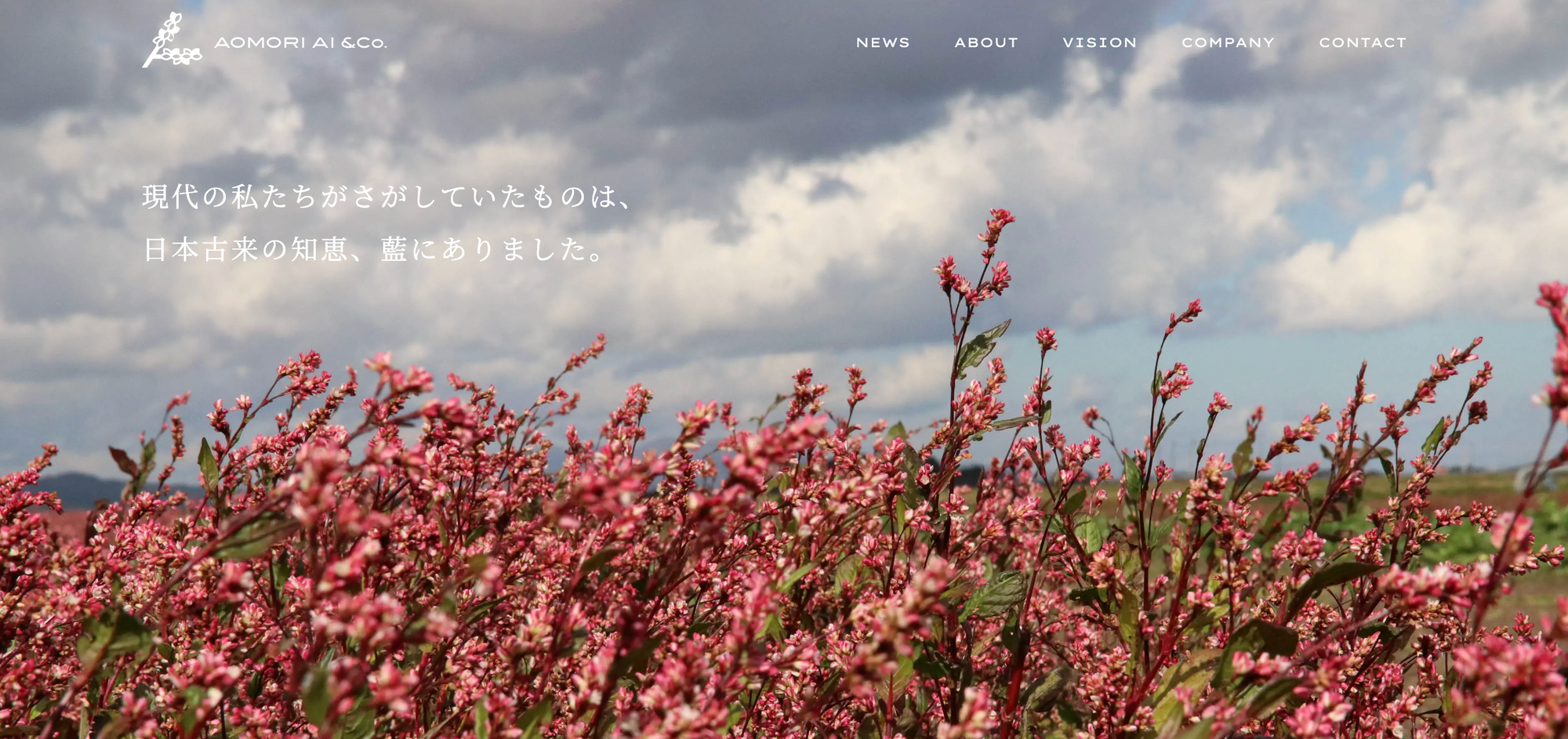 ＜新製品＞あおもり藍染め【裏表前後なし】MENS ∞ ドレスTシャツ　(プレミアム)　(M/L/XL) ＊数量限定商品